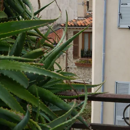 Apartment Vieille 2 - La Petite Maison A Safranier, 2 Bedrooms, Max 4 Adults And 2 Kids Antibes